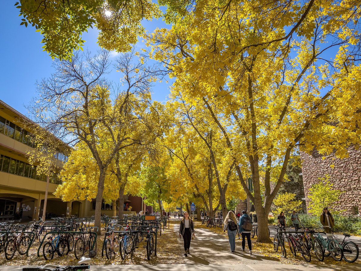 ColoradoStateU's tweet image. The path next to Clark is popping off 💛