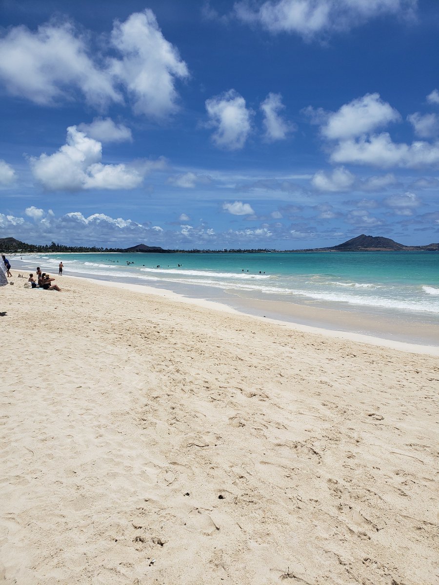 See you all at the last #BLS7Hawaii #virtual BEACH PARTY starting in 10 min. on Spatial Chat! 🏝️We would love to see you one last time as the conference comes to a close and join us in congratulating the awardees! #biologging