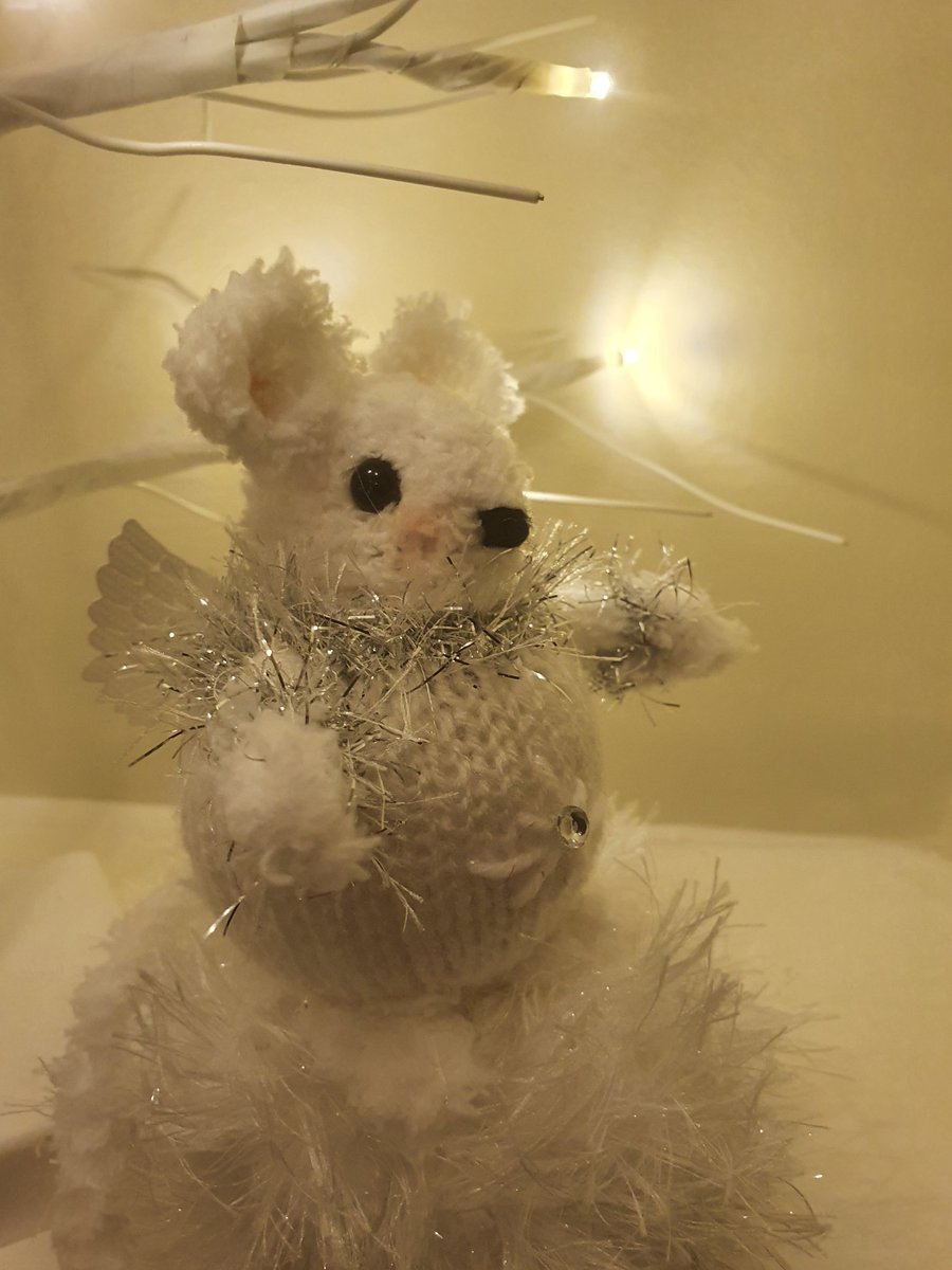 Mice come in all shapes & sizes, now they come with little wings 👼🐭👼
What do you think of my new little creation??🐭🐭🐭 
Coming soon in time for Christmas to raise funds for @siriusanimalrescue🎄🐶🎅🏻🐈🎄
@siriusstarfundraising