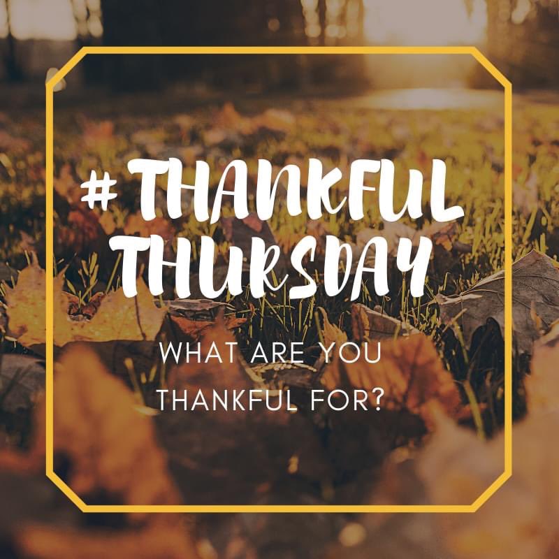 In honour of #ThankfulThursday we'd like to thank YOU for your ongoing support over the years. We feel truly blessed today and every day #zoeskinspa #allnaturalbeautyproducts #skinqueen #beauty #localbusiness #skinspa