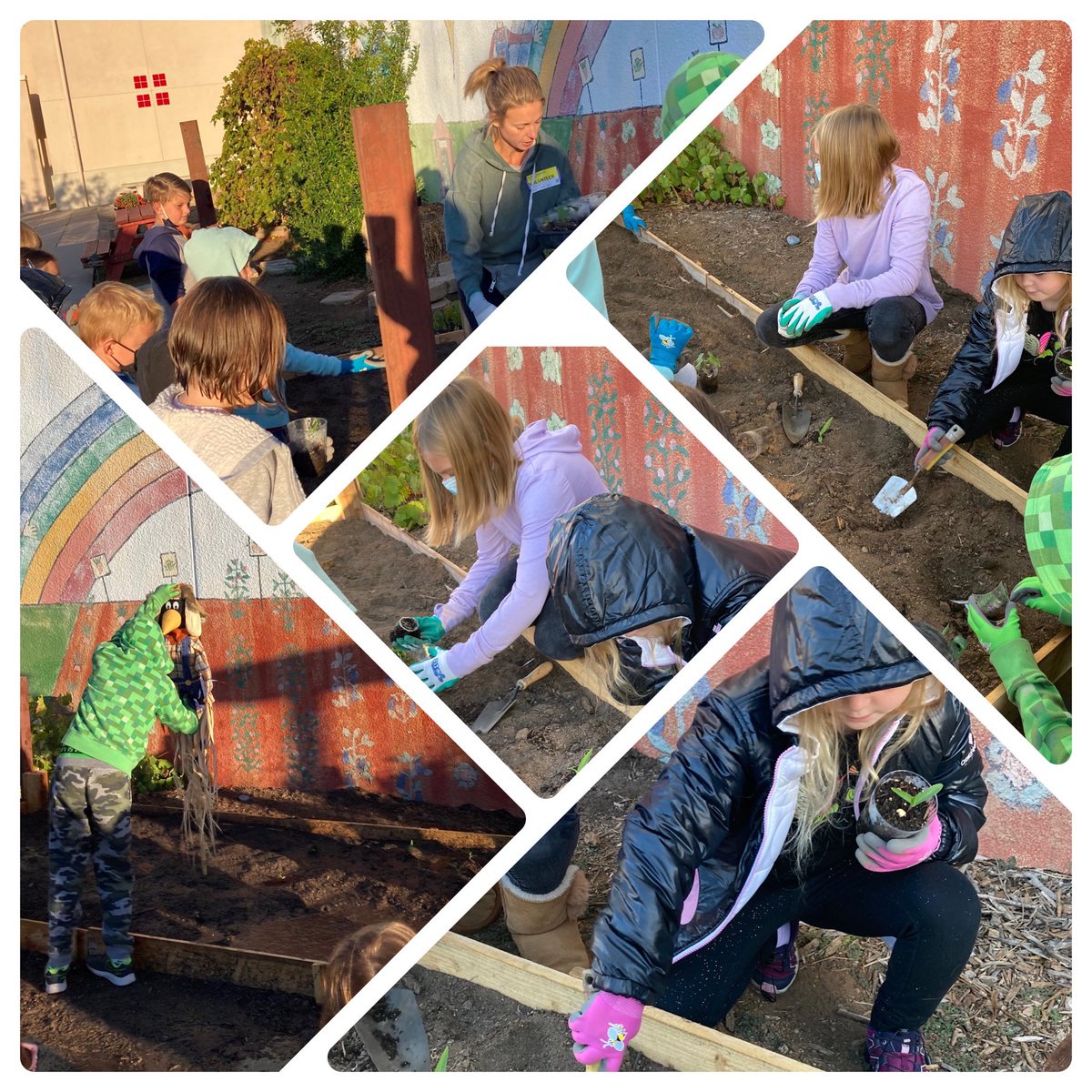 MUR Elementary tweet media