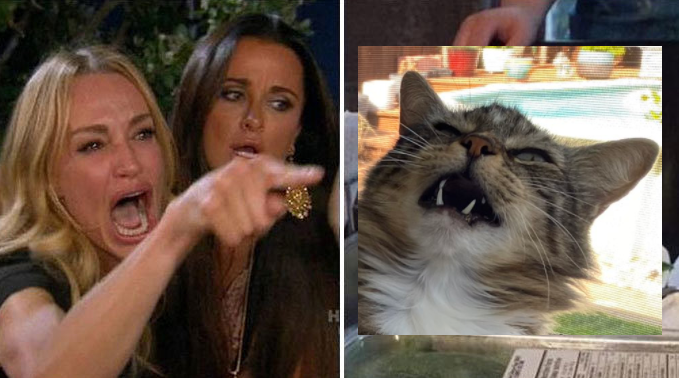 RedPandasNFT tweet media