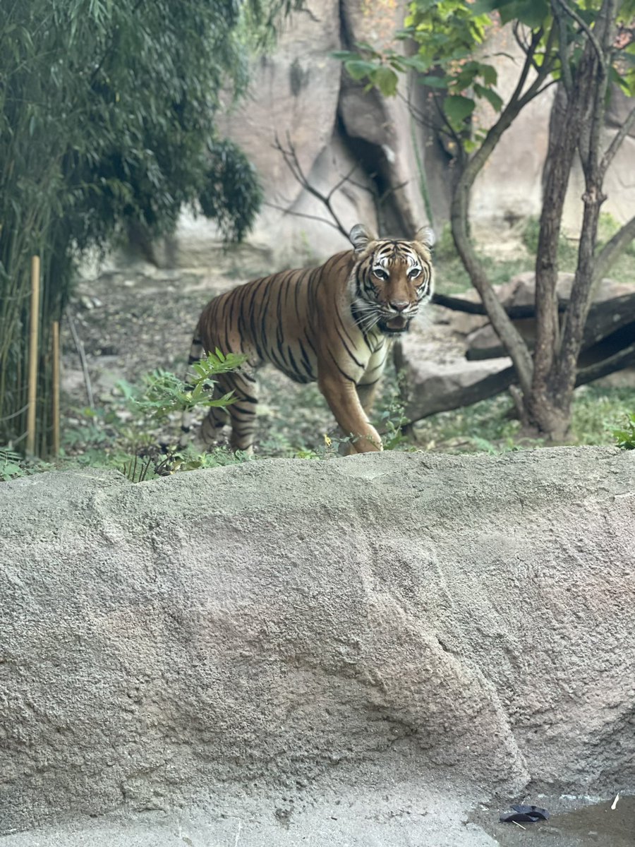 Hay_cutie's tweet photo. Literally love coming to the @CincinnatiZoo and getting these types of pictures! @WLWT https://t.co/mVBOlfnPBr