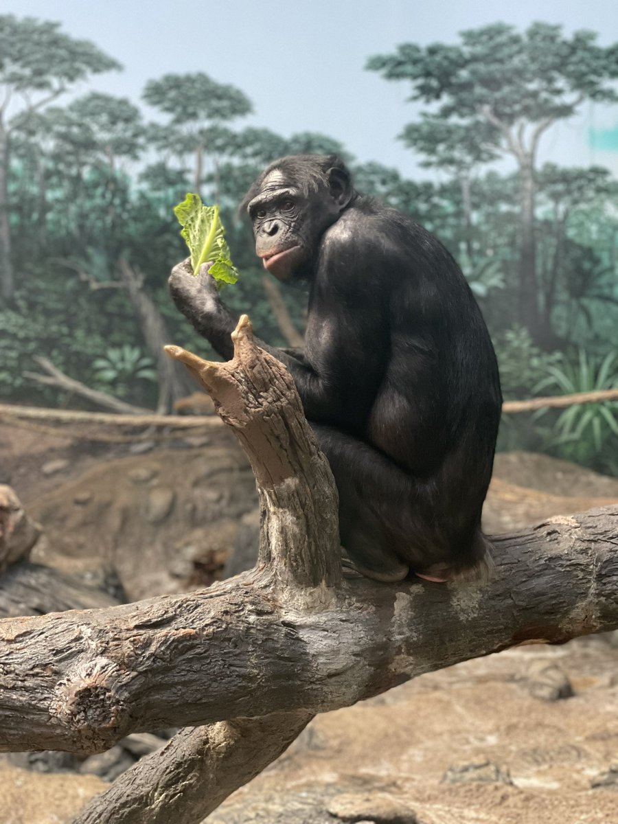 Hay_cutie's tweet photo. Literally love coming to the @CincinnatiZoo and getting these types of pictures! @WLWT https://t.co/mVBOlfnPBr