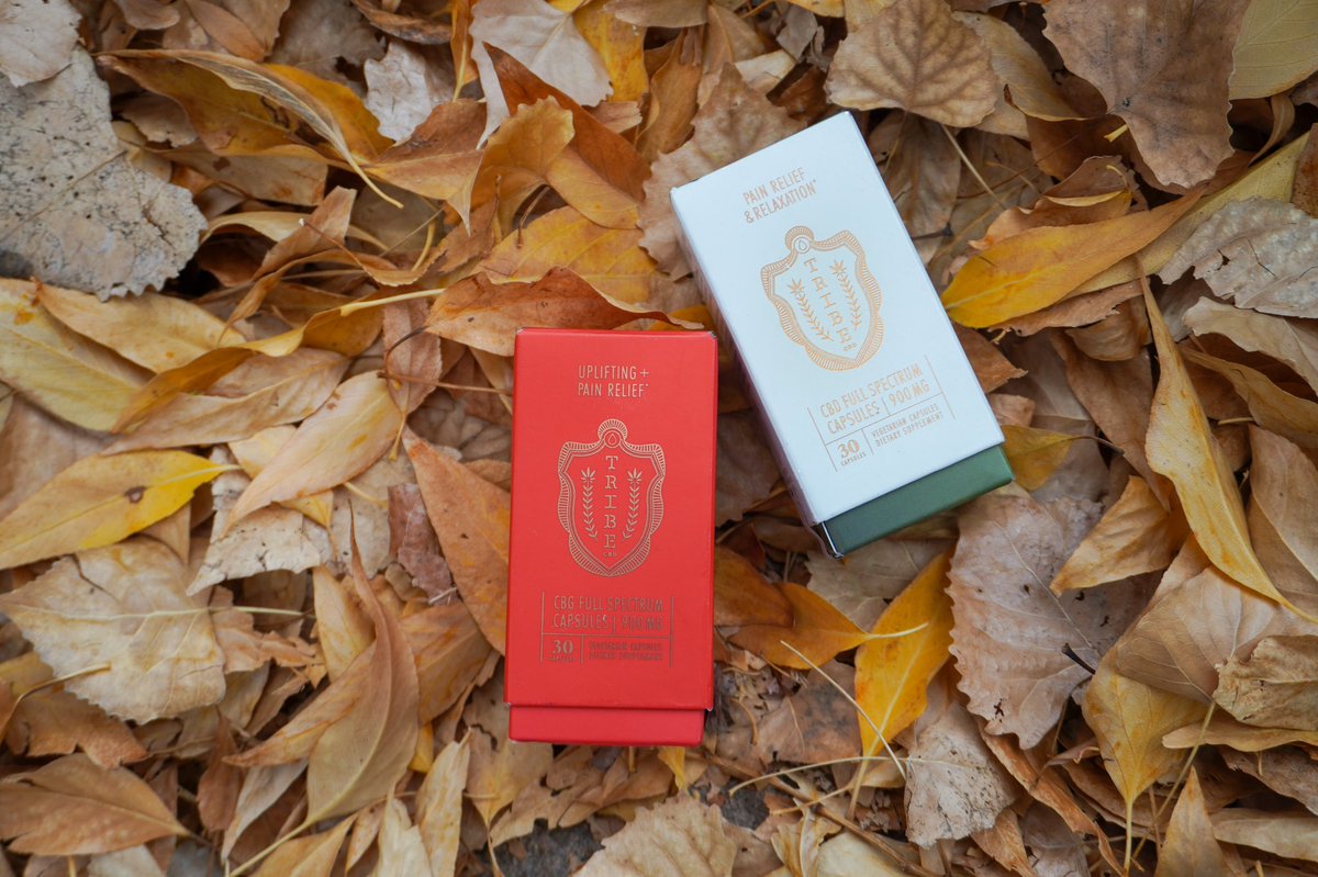 TribeCBD's tweet photo. 🍂Fallin🍂 for Tribe CBD #jointhetribe #cbd https://t.co/F0Cr5m7RM5