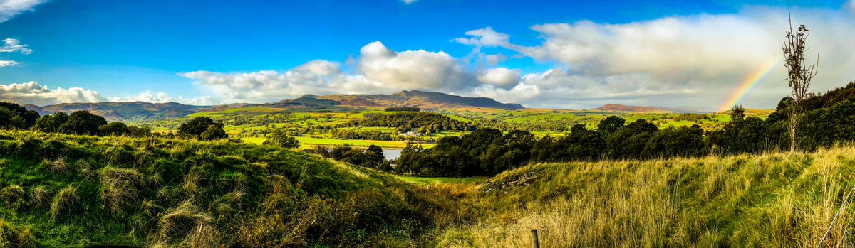 Shaheed Rahman tweet media