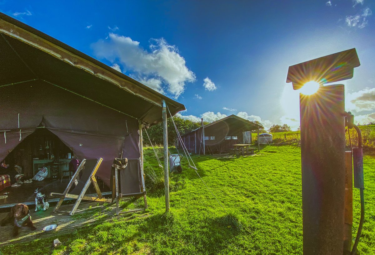 Shaheed Rahman tweet media