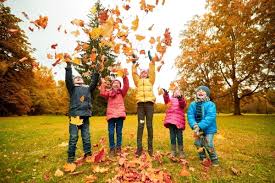 ranaslander's tweet photo. Autumn in Islamabad - 
Expectation Vs. Reality https://t.co/DgncN7PbbX