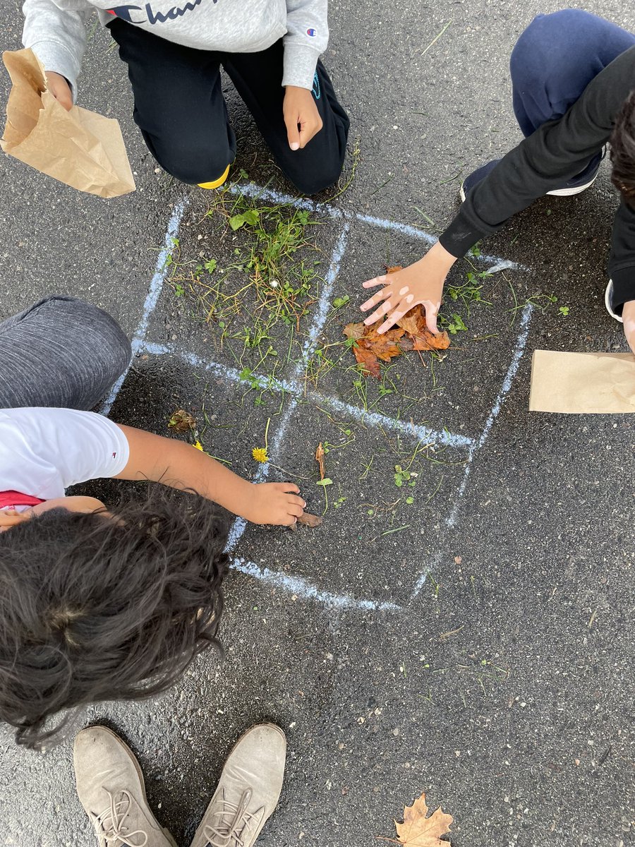 Even on a rainy Thursday, 3-1FI got outside in nature to complete our exciting sorting activity! Can you guess what the sorting rules were for each group?