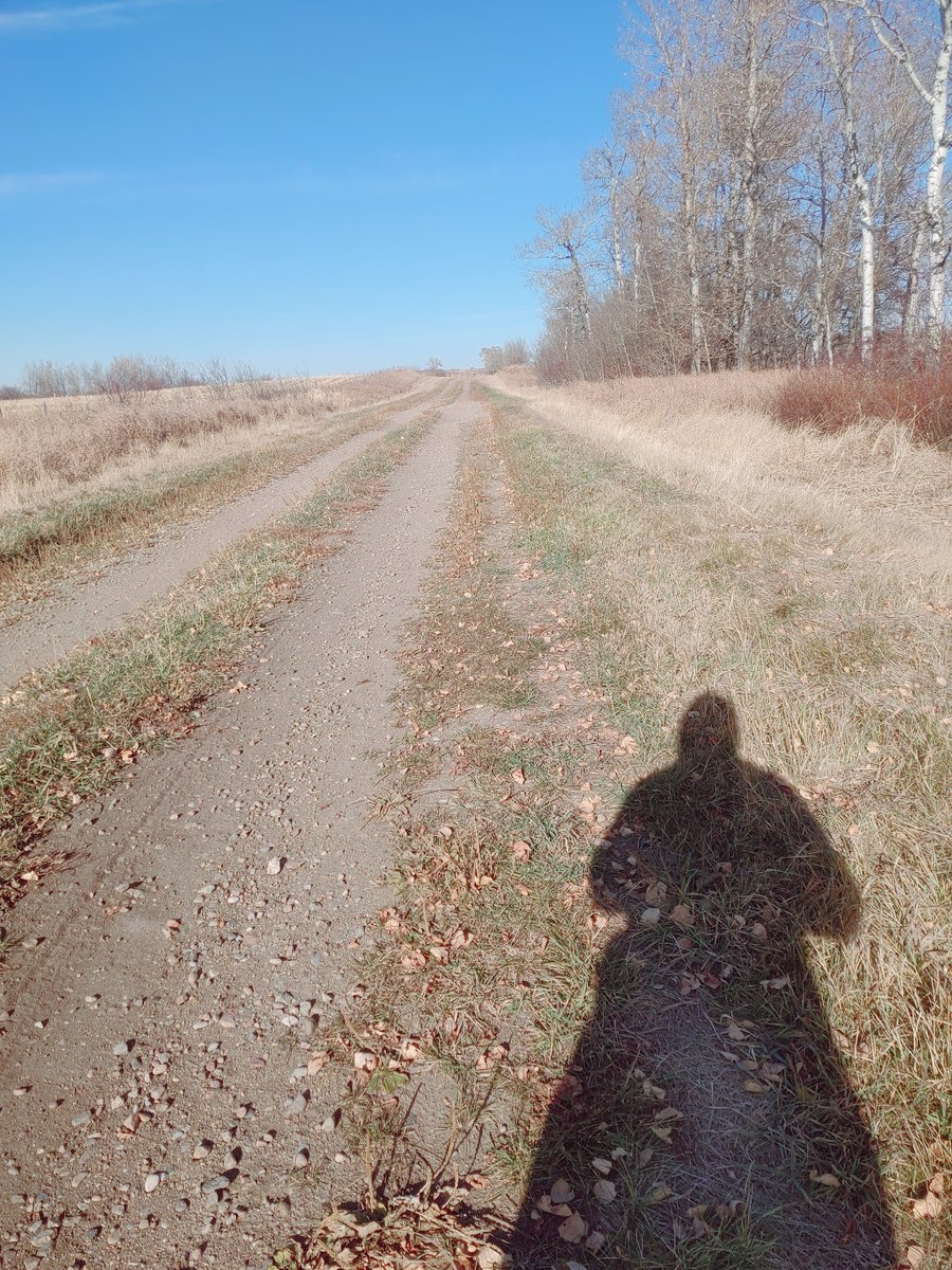 carolinerparke's tweet image. Just a couple #personalreflections as I take a mid afternoon stroll... #albertaprairie