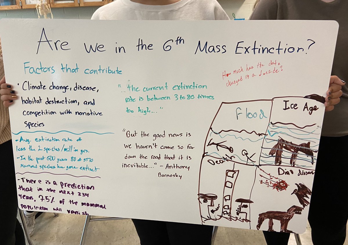Ms_Calasso's tweet photo. Are we in the middle of a Mass Extinction?!
Biology Ss researched this big Q & discussed key findings in a #ScientistCircle:
⚠️ 80 out of 5570 mammal species are extinct
⚠️ 20-50% of species are endangered
⚠️ Humans CAN prevent this but must act now!
#BectonScience @BectonHS https://t.co/Sqf0qa0G9y