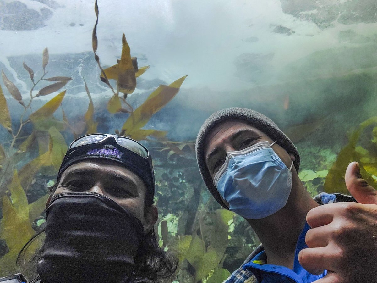 MauiOceanCenter's tweet photo. Matt & Kawika at this years #AALSO symposium and workshops, hosted by @pghzoo. Check out some of the highlights: #TurtleRelease room, Pittsburgh Zoo, and the surge zone at the PPG aquarium! π
-
#OceanEducation #MarineConservation #OceanAloha https://t.co/0OwxtNs0fk