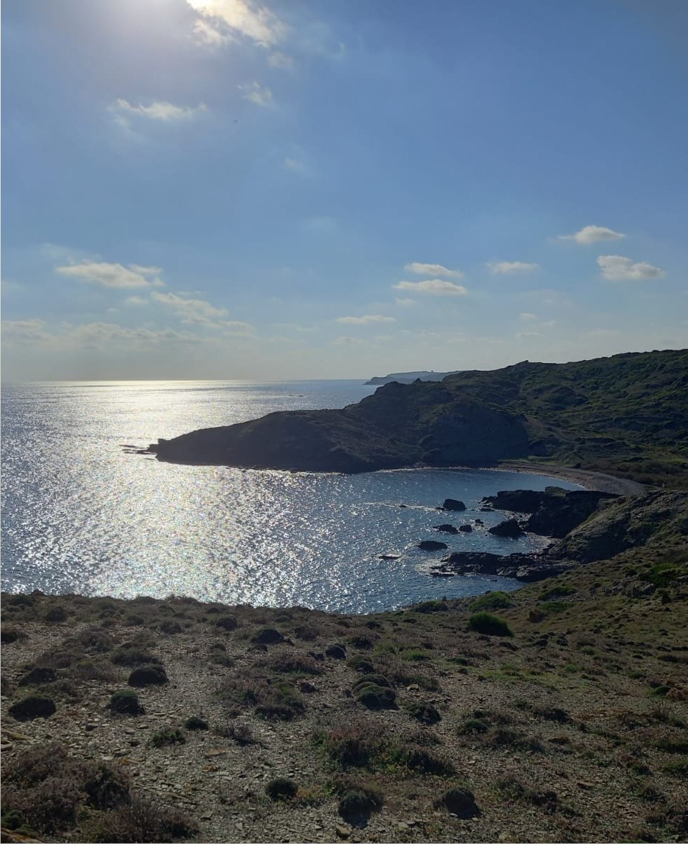 rebeeemm's tweet photo. 2/7
Aquest cap de setmana abans d'anar a fer feinaz 🤵🏼‍♀️ vaig anar d'excursió en familia a Sa Mesquida. 🌊 Sa millor manera de començar es dia. ✨
#22121_uib @EFsaludable_UIB https://t.co/6p8GmYEaow