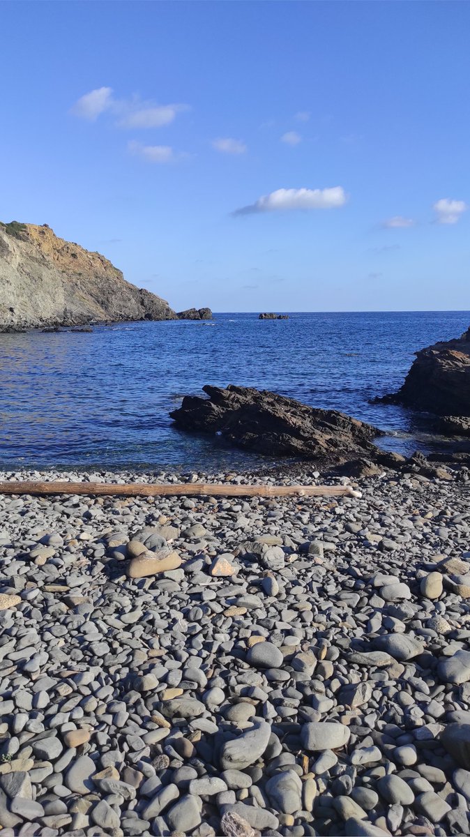 rebeeemm's tweet photo. 2/7
Aquest cap de setmana abans d'anar a fer feinaz 🤵🏼‍♀️ vaig anar d'excursió en familia a Sa Mesquida. 🌊 Sa millor manera de començar es dia. ✨
#22121_uib @EFsaludable_UIB https://t.co/6p8GmYEaow