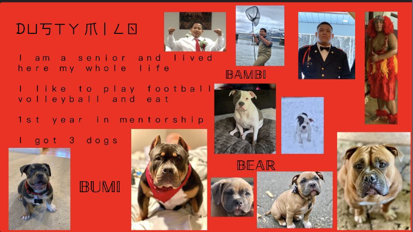 DimondMentors's tweet photo. 🐶❤️💛 https://t.co/q4b1LN24GT