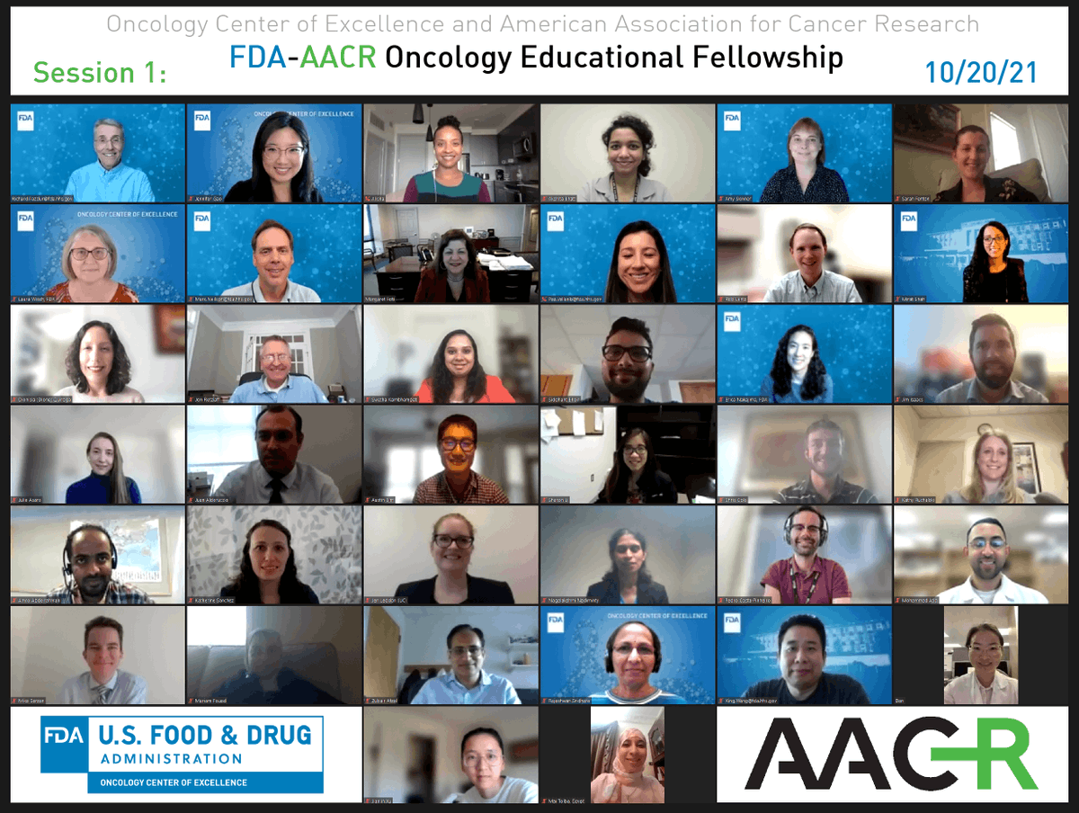 FDAOncology's tweet photo. Excited to kick off the 2021-2022 @FDAOncology-@AACR Oncology Educational Fellowship–29 fellows joining us to learn about oncology drug development. Looking forward to a great year! @drjennifergao @realrickpazdur @pazvellanki Mirat Shah
#ProjectSocrates https://t.co/ijukYYew6V https://t.co/giw6LKqnGn