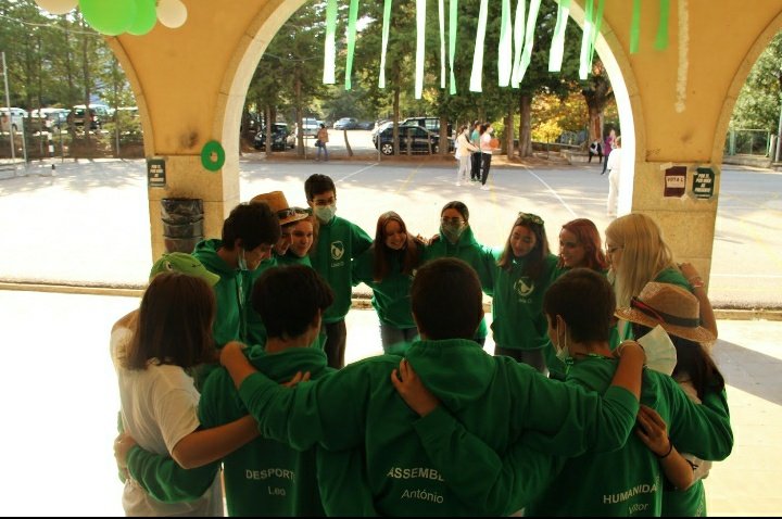 ineslousadaa's tweet photo. um obrigado nunca será suficiente 💚 https://t.co/qM6YwYqvoa