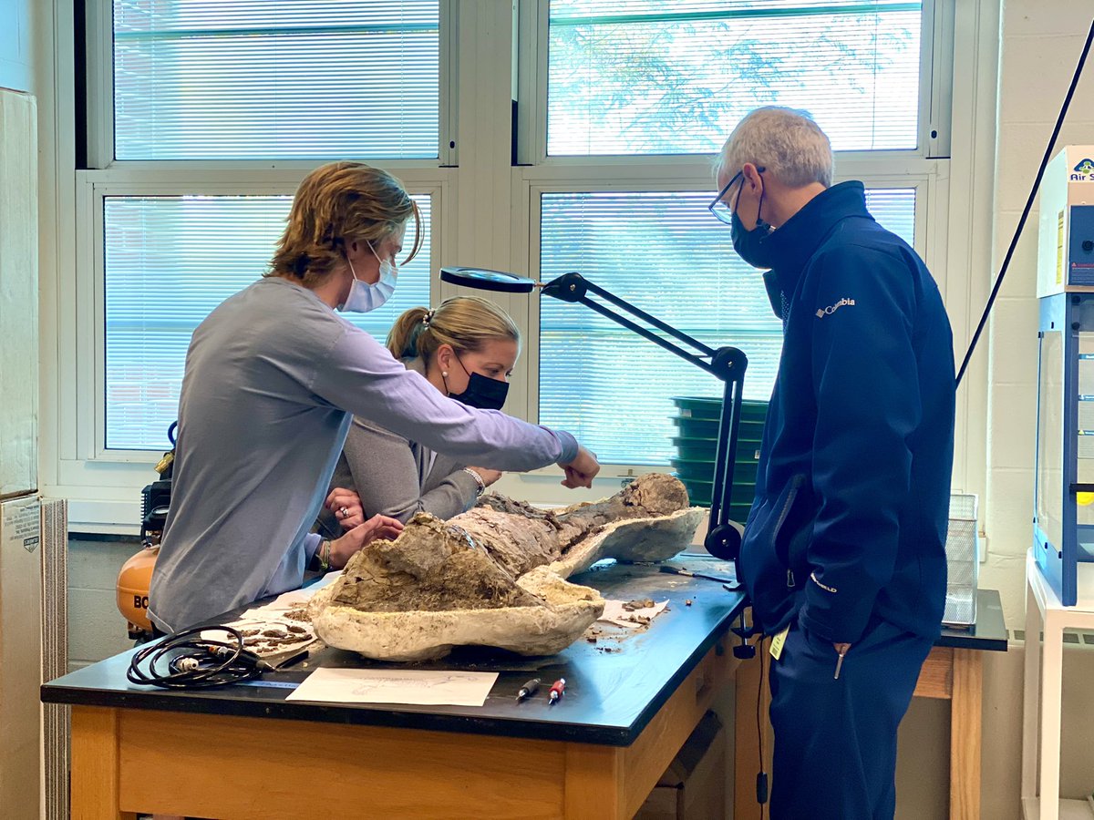 Carolyn J. Probst tweet media