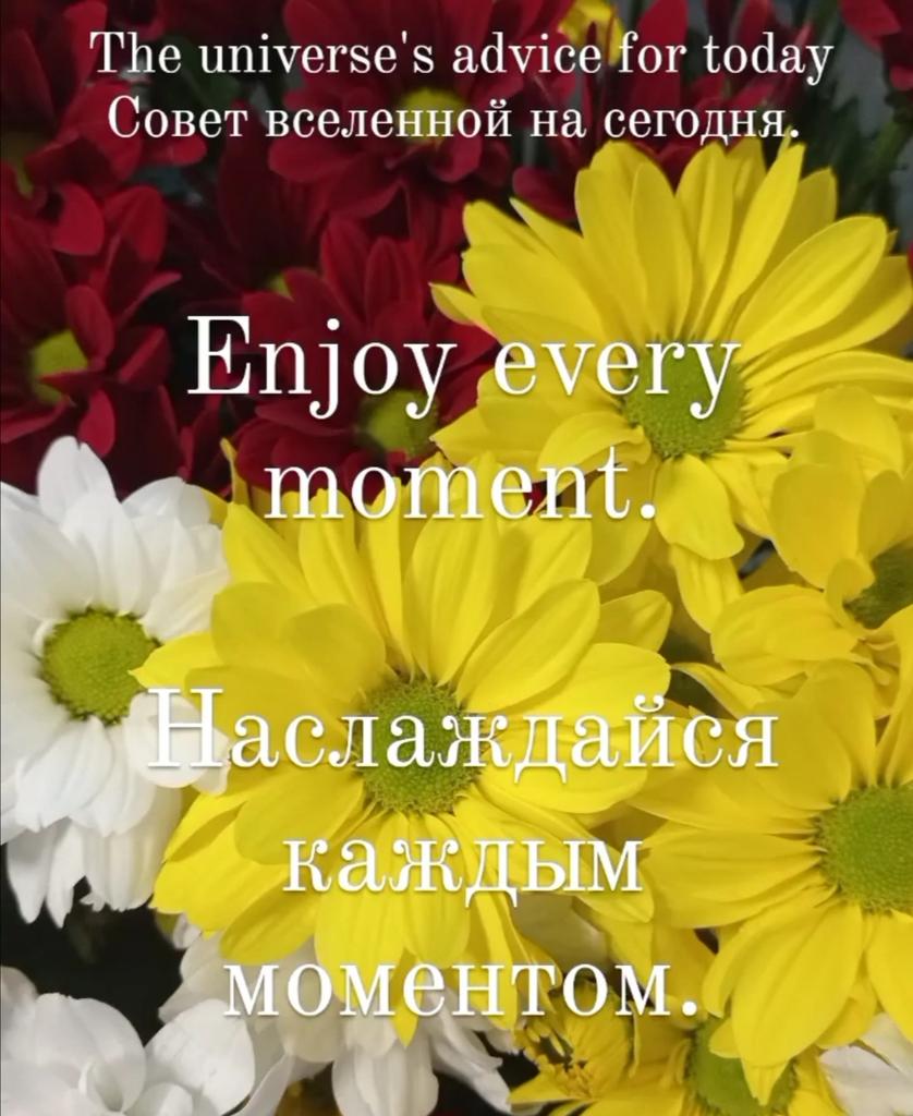 #мысливслух #цитата #advice