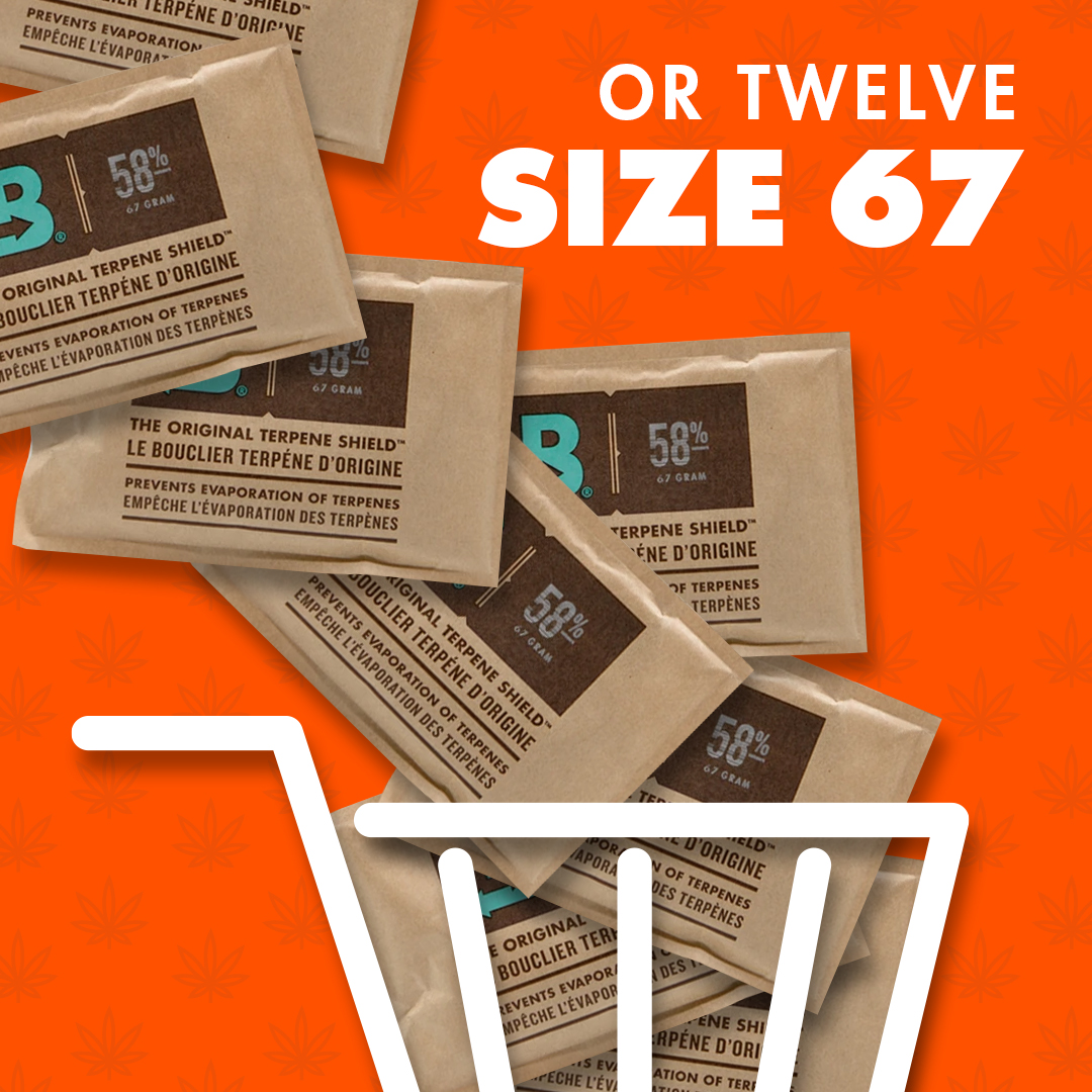 BovedaCannabis's tweet image. Spooked over shipping costs? 👻 🎃  Here's a treat on us - #TerpShield orders over $55 come with free shipping for a limited time only!