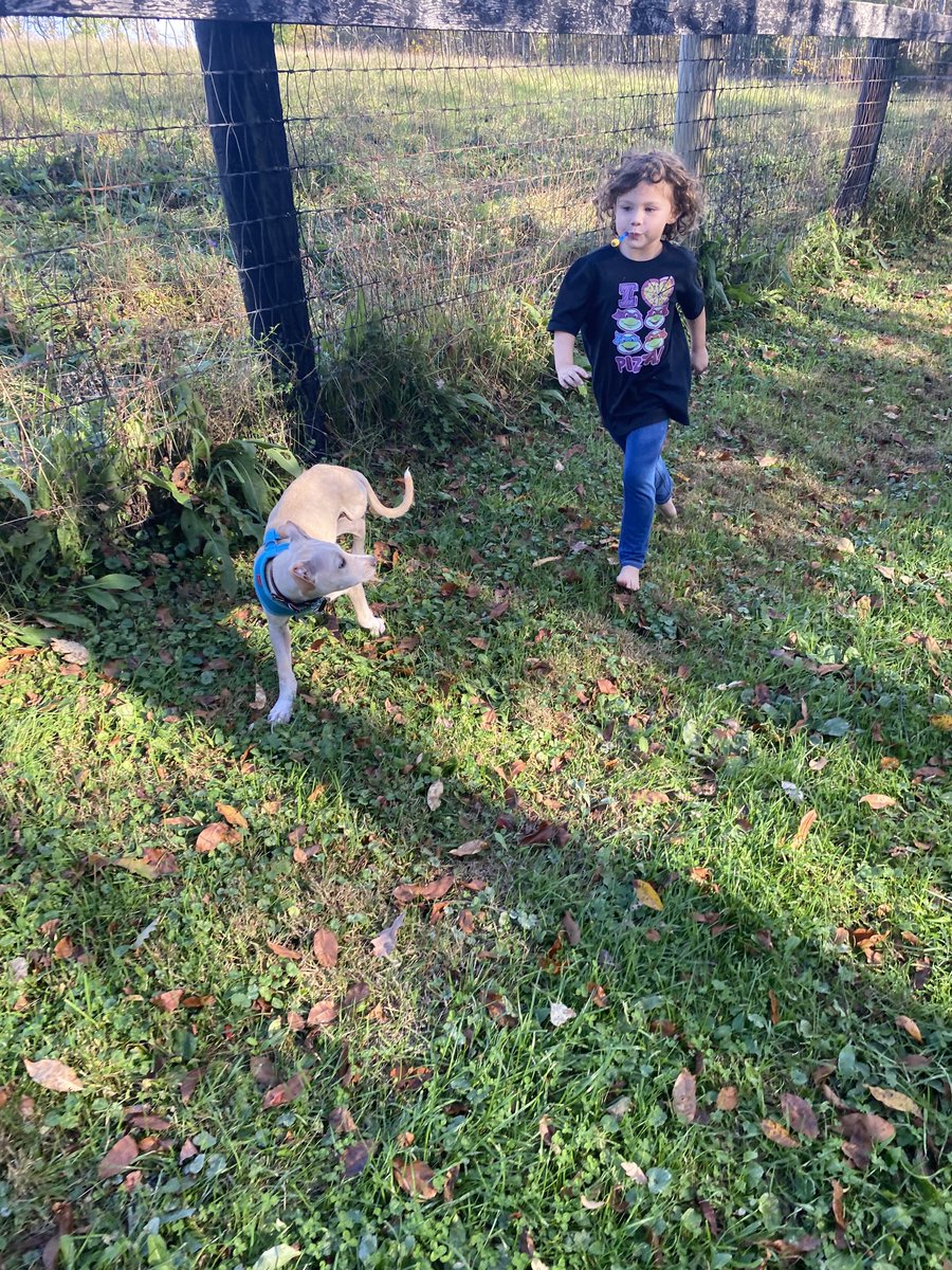 JDMorgan's tweet photo. My favorites. #george&amp;irwin https://t.co/lMFkOl3pRi