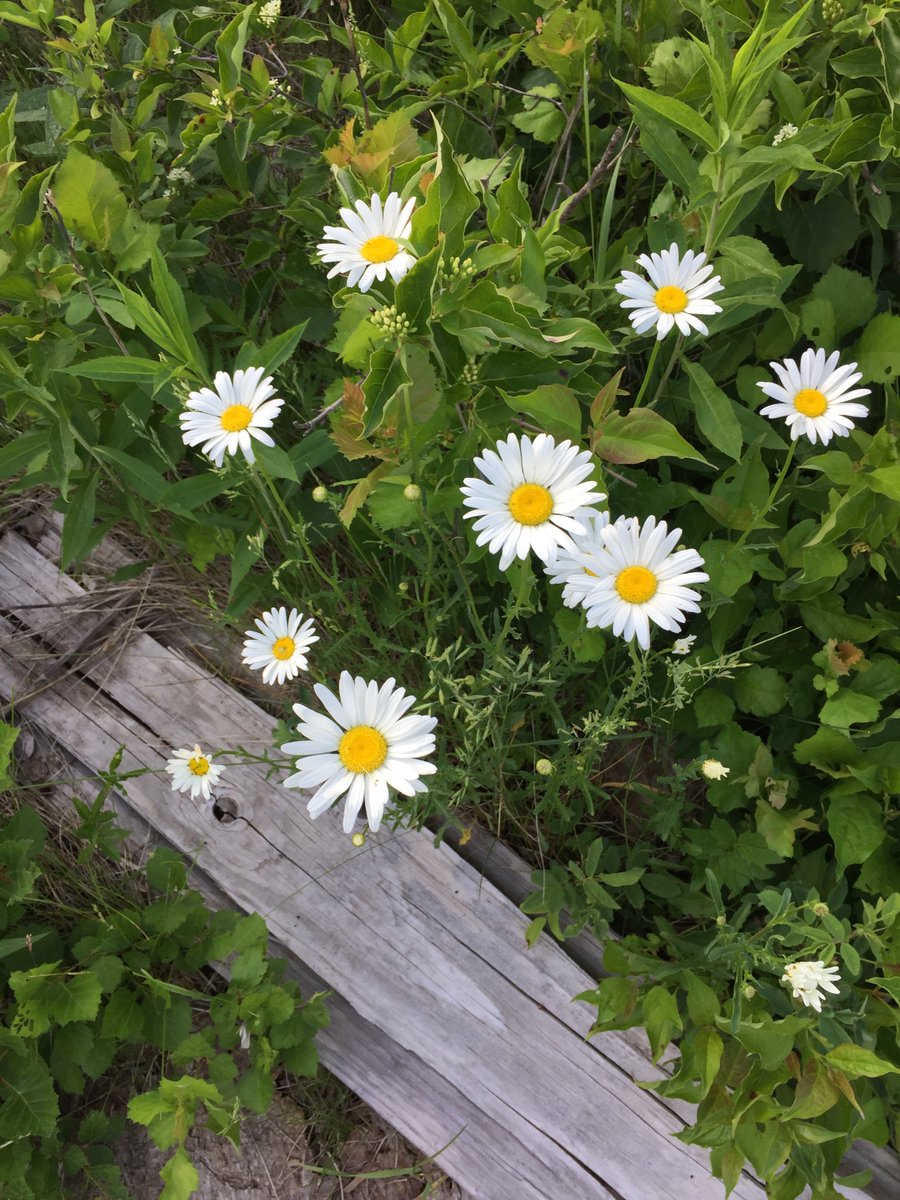 AfterLetters's tweet image. #EndOfSummer