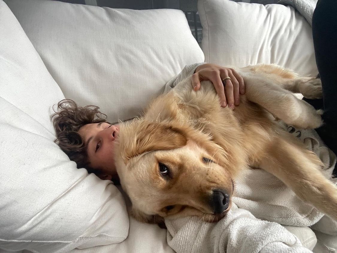 TrackingSM's tweet photo. The award for Biggest Dog Dad goes to… https://t.co/JaJbXeEp92