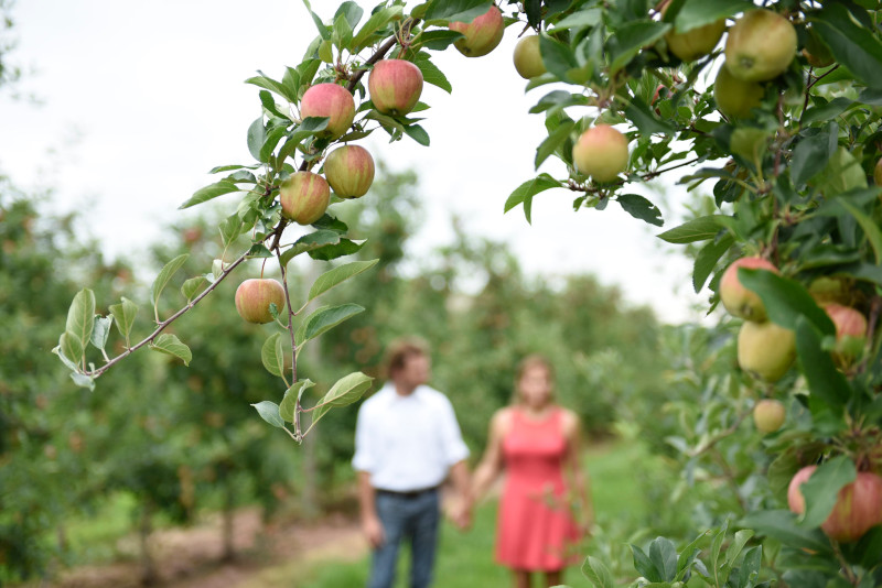 DestGettysburg's tweet photo. 🍎🍏 = ♥️
Happy #NationalAppleDay from #AdamsCountyPA which ranks as the 4th-highest apple producing county across the U.S.! 

#Crop2It &amp; explore our Crop Hop #farm &amp; market trail to crunch into your faves: https://t.co/y0kr0OcJG5 https://t.co/0TPVuBViJ4