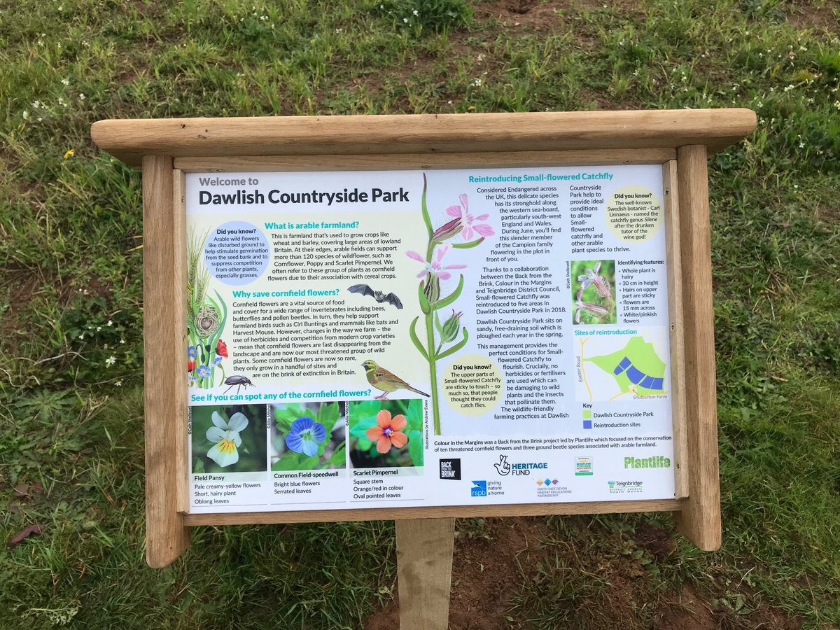 TDC_Leisure's tweet photo. Dawlish Countryside Park FREE Halloween arts &amp; crafts activity session.  1 - 3pm Sunday 31 Oct.  All ages welcome. 🎃 https://t.co/wFIhiTioBW