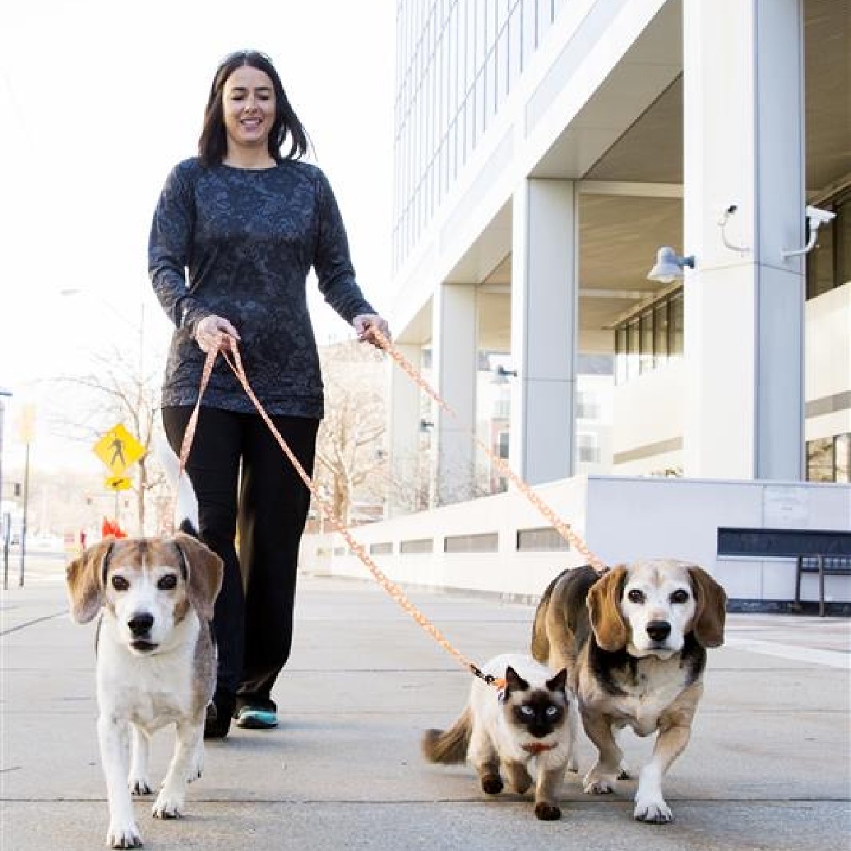 #StrutYourMutt is just a few days away! Dogs (and cats) all around the country are getting excited and practicing for the BIG day! 

It's not too late to register though! Trust us, you won't want to miss out on the fun this Saturday! strutyourmutt.org #SaveThemAll ^kw