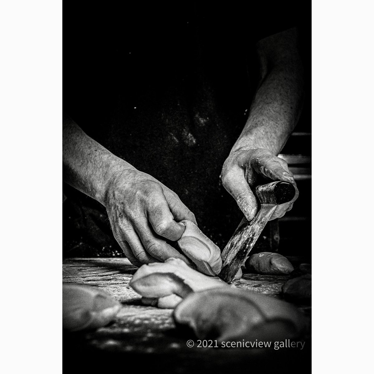 Scenicview Gallery 📸 #photographer tweet media