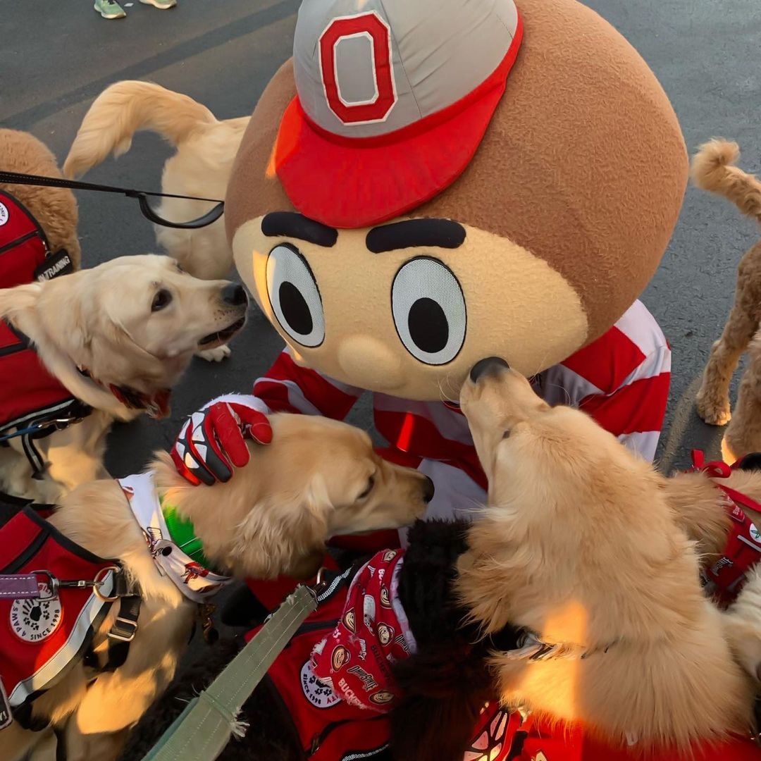 The perfect photo doesn't exi- 

📸: osu4paws (IG)