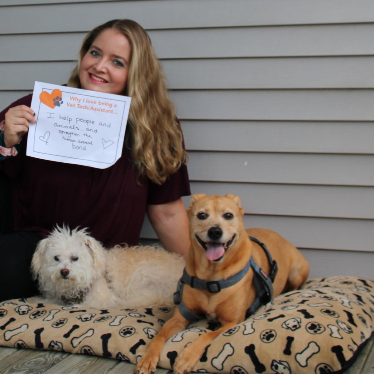 citywayac's tweet photo. Have you met Emily? She’s our newest #RVT! To continue our #VetTechWeek celebration, we asked her "Why Do You Love Being a #VetTech?" She replied "I get to help people and animals and strengthen the human-animal bond." Welcome to the team, Emily! #CityWayWay https://t.co/yTGhvfjIq5