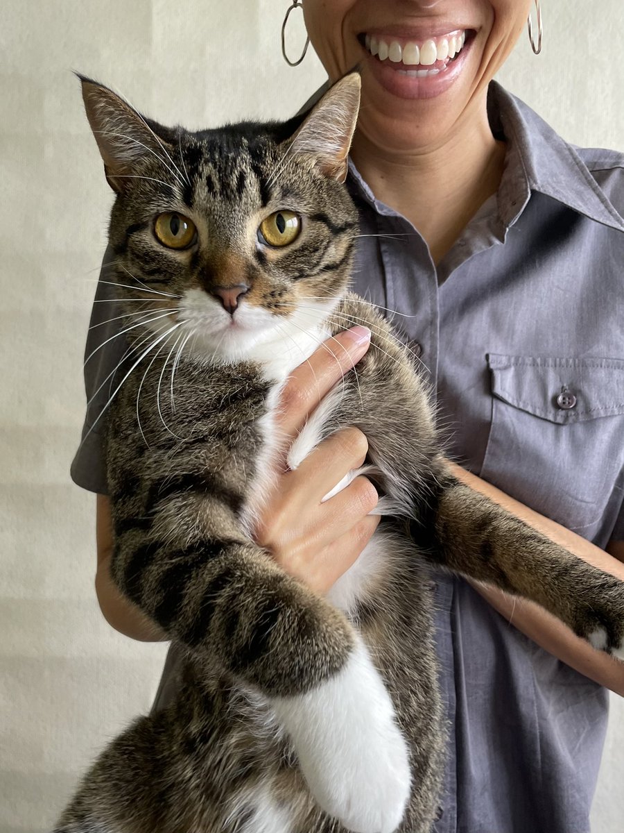 E_Roseland's tweet photo. @roastmalone_ Cats, too! This is Sophia—aka Sophie, So-pee, Pee, Pretty, Pretty Girl. Yes, she answers to all of them. https://t.co/YC2JgmkyPY