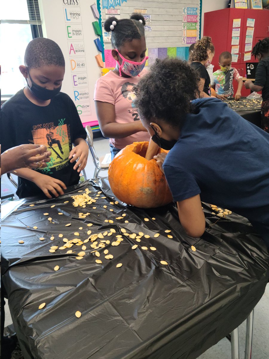NorthDriveES's tweet image. 🎉Shout out to Miss. Bryant! Her students  participated in an AWESOME lesson! They did a Pumpkin Investigation. They had to Skip Count the seeds and write adjectives about the pumpkin! The students were collaborating and engaged with enthusiasm! YOU ROCK MISS. BRYANT!😊🎉