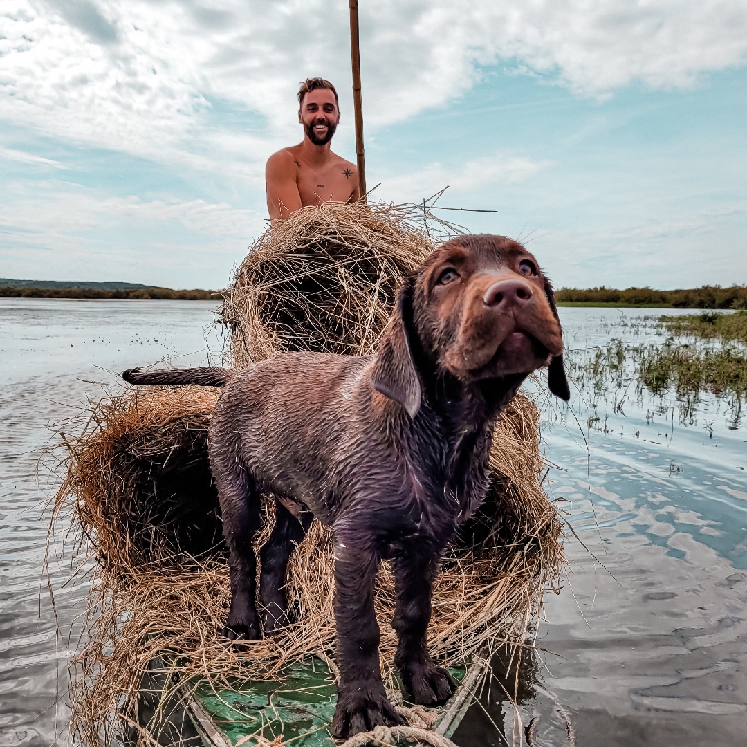 Zone300off's tweet photo. Amitiés au fil des nuits ... Une production #Zone300 qui rassemble passion, partage et aventure tout cela autour du canard 🦆

#zone300 #chasse #hunting #filmdechasse #videodechasse #chasseurfrancais #chasseur #chiendechasse https://t.co/fyOPuV7urf