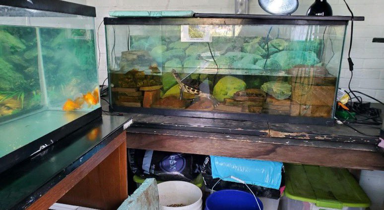 TransferKent's tweet image. TAC volunteered with the Herrick Conservatory today! #NTSW 💙⚡️