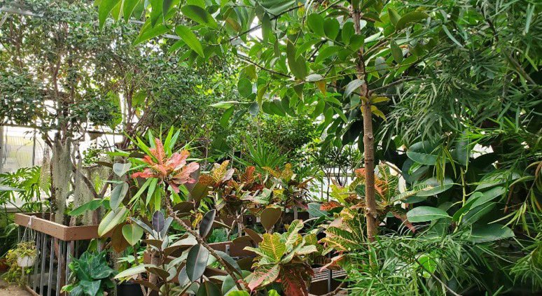 TransferKent's tweet image. TAC volunteered with the Herrick Conservatory today! #NTSW 💙⚡️