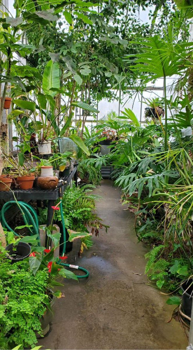 TransferKent's tweet image. TAC volunteered with the Herrick Conservatory today! #NTSW 💙⚡️