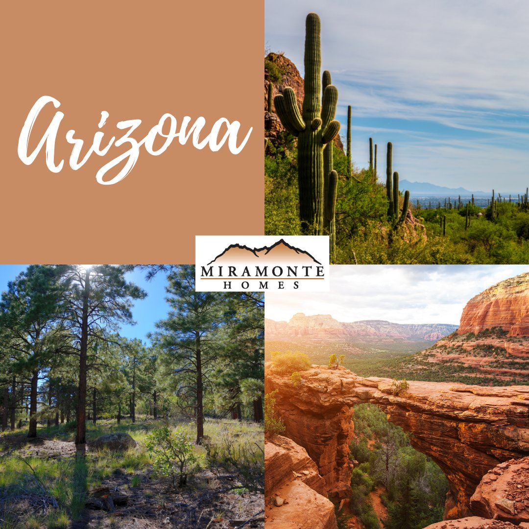 miramonte_homes's tweet photo. Miramonte Homes offers the best of Arizona's living. We have thoughtfully designed floor plans and options that allow you to create the home of your dreams.

#arizona #flagstaff #tucson #sedona https://t.co/NoSI7OcgNB