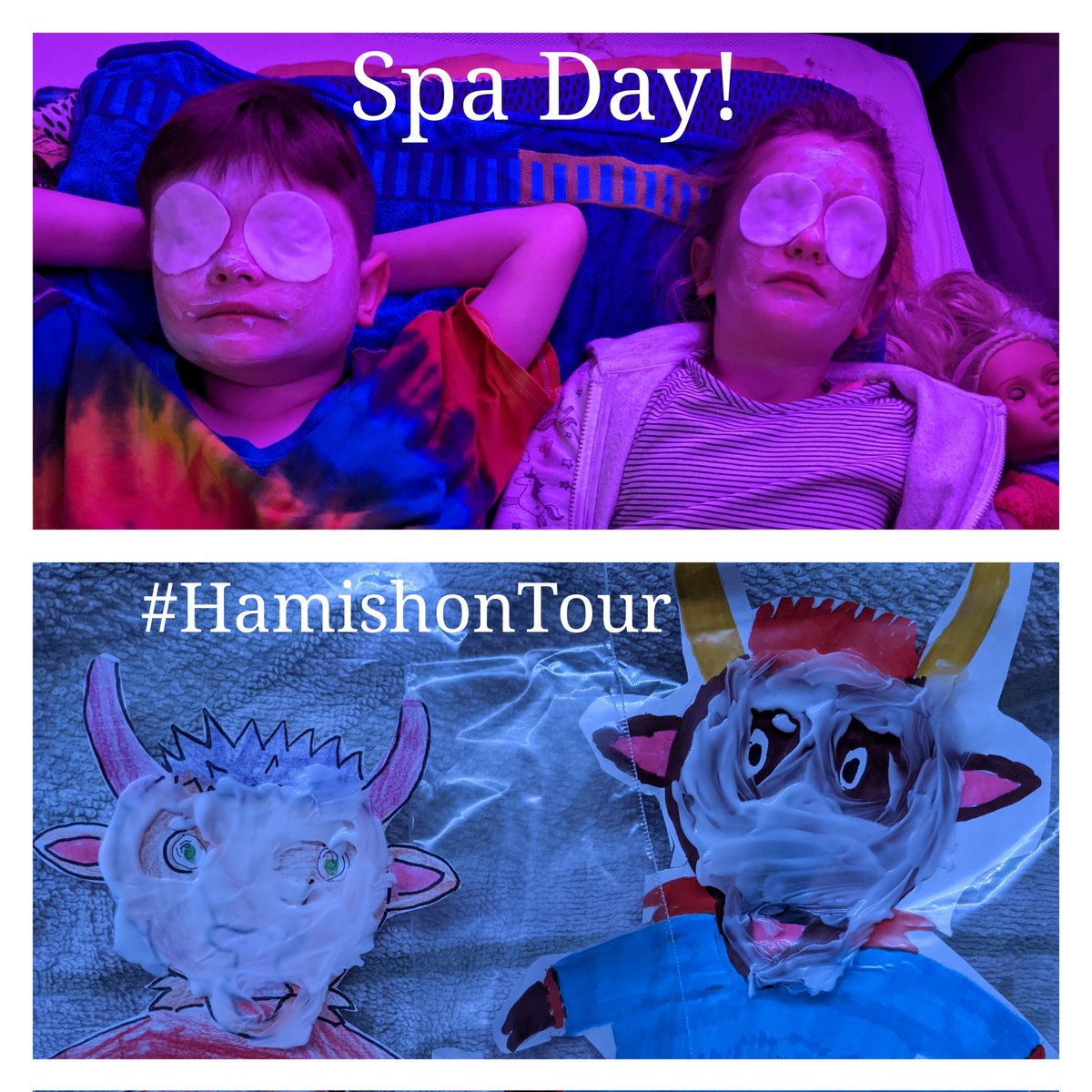 Wikiwima's tweet photo. @DycePrimary Hamish has been super busy this Tattie Holidays so it was time for a wee relaxing spa Day with Baxter &amp; Caledonia. #FlatHamish #HamishonTour https://t.co/xvSd78epIa