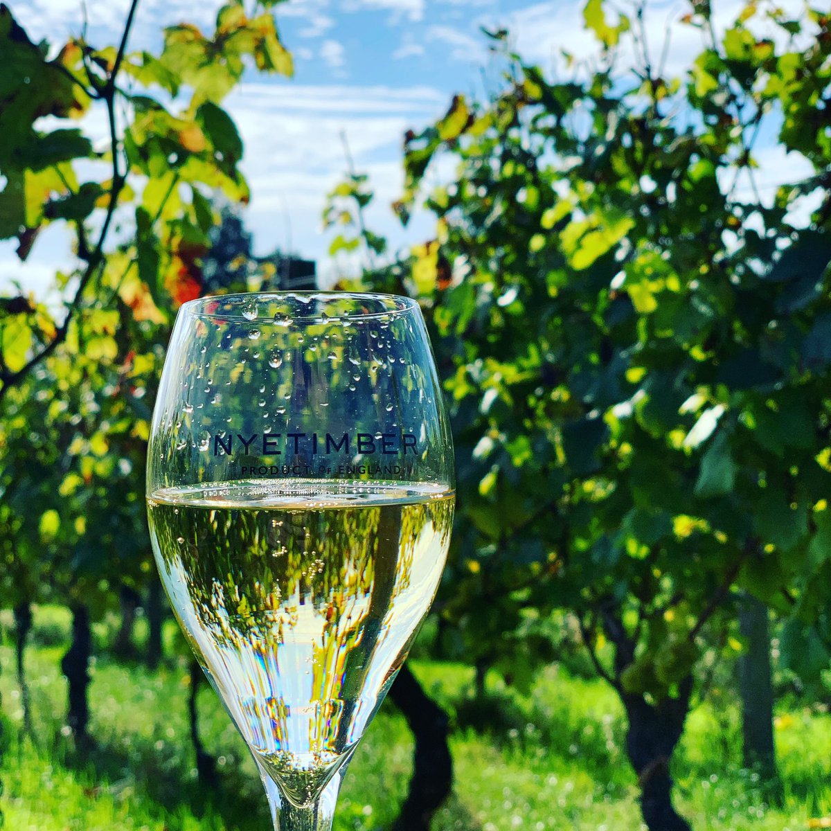 Another snap from our visit last week to <a href="/nyetimber/">Nyetimber</a> and their annual harvest celebration luncheon. This is one of many glasses of their multi-vintage Classic Cuvée Joe enjoyed in the sunshine in the middle of the vineyard.