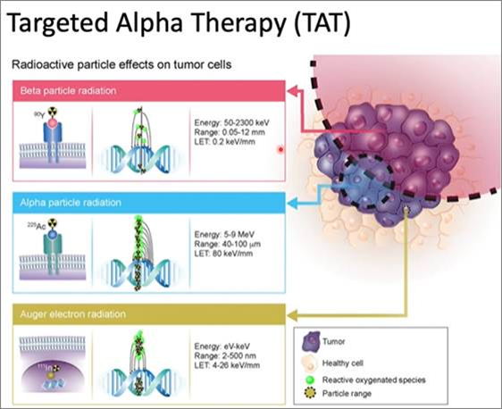Course5_LifeSci's tweet photo. Smaller-scale #dosimetry is required to better estimate targeted #alpha therapy (TAT) radiotoxicity. Imaging is a challenge in #TAT #EANM21 @officialEANM https://t.co/xoaWFZ5buD