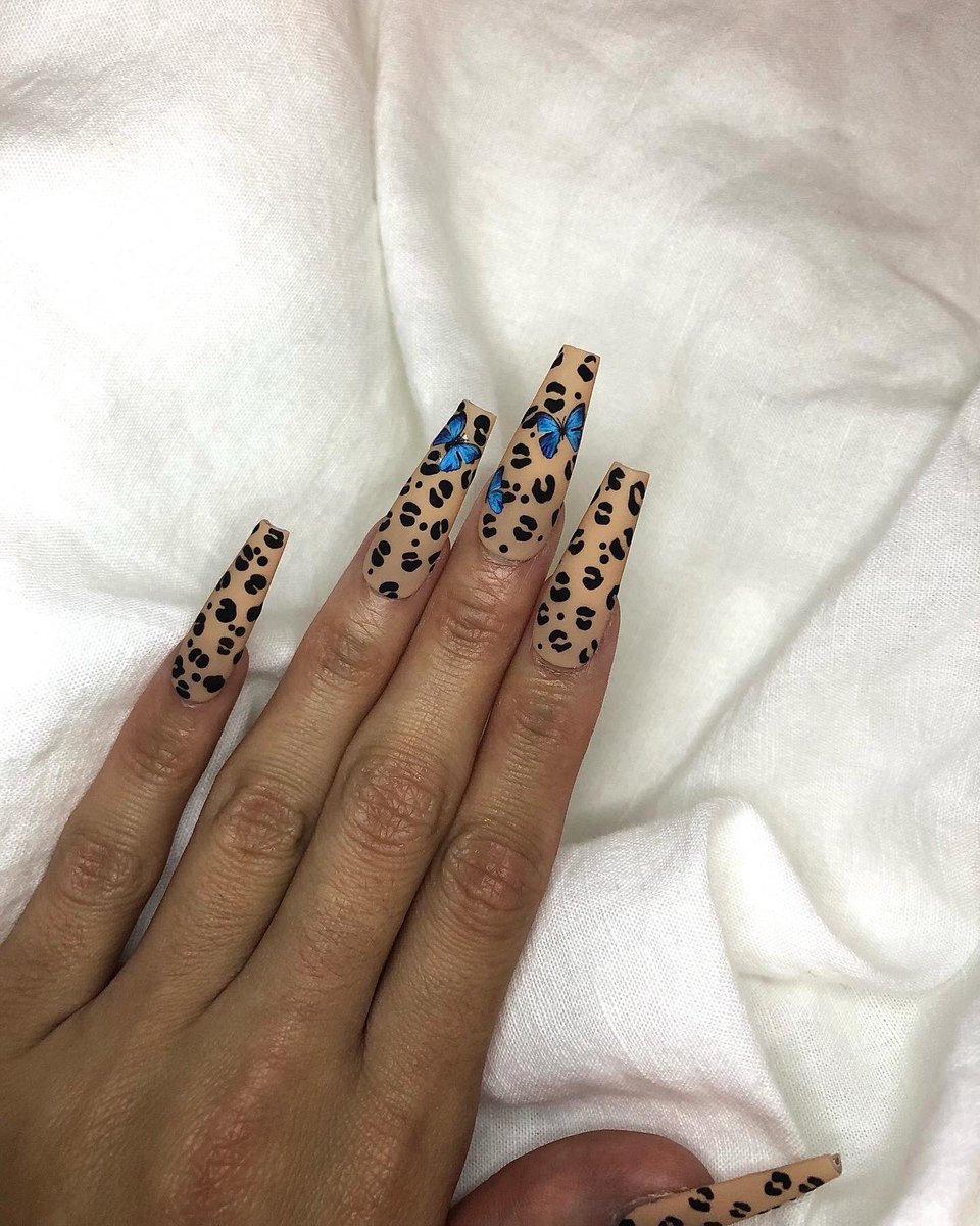 vinannguyen's tweet photo. Hi i just launched my website it’d be really cool if y’all could RT and help support your girl! Please I’m trying to pay off my student loans 💀 Link in bio 🤍 https://t.co/f9coKSoI0U