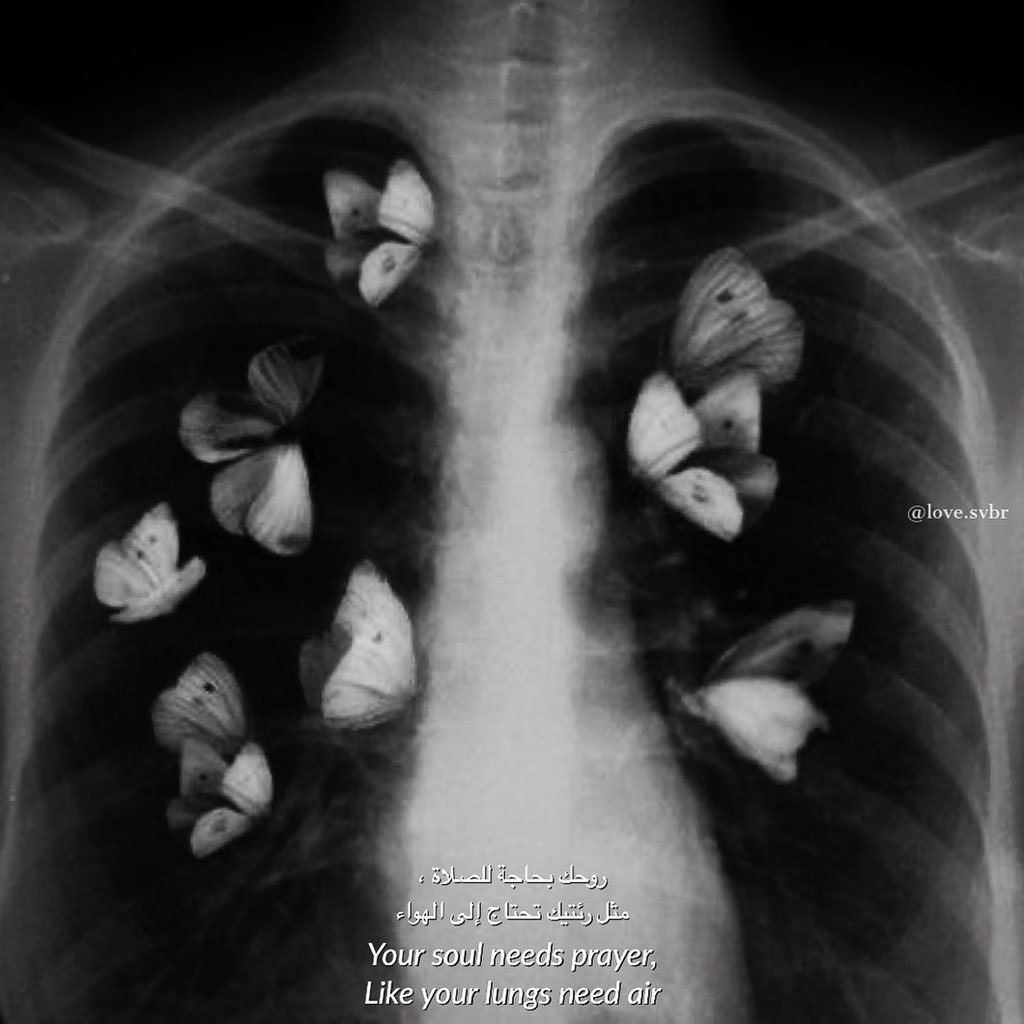 Muslim's tweet photo. Your soul needs prayer, like your lungs need air. 🦋 https://t.co/VU2NlrKxwv