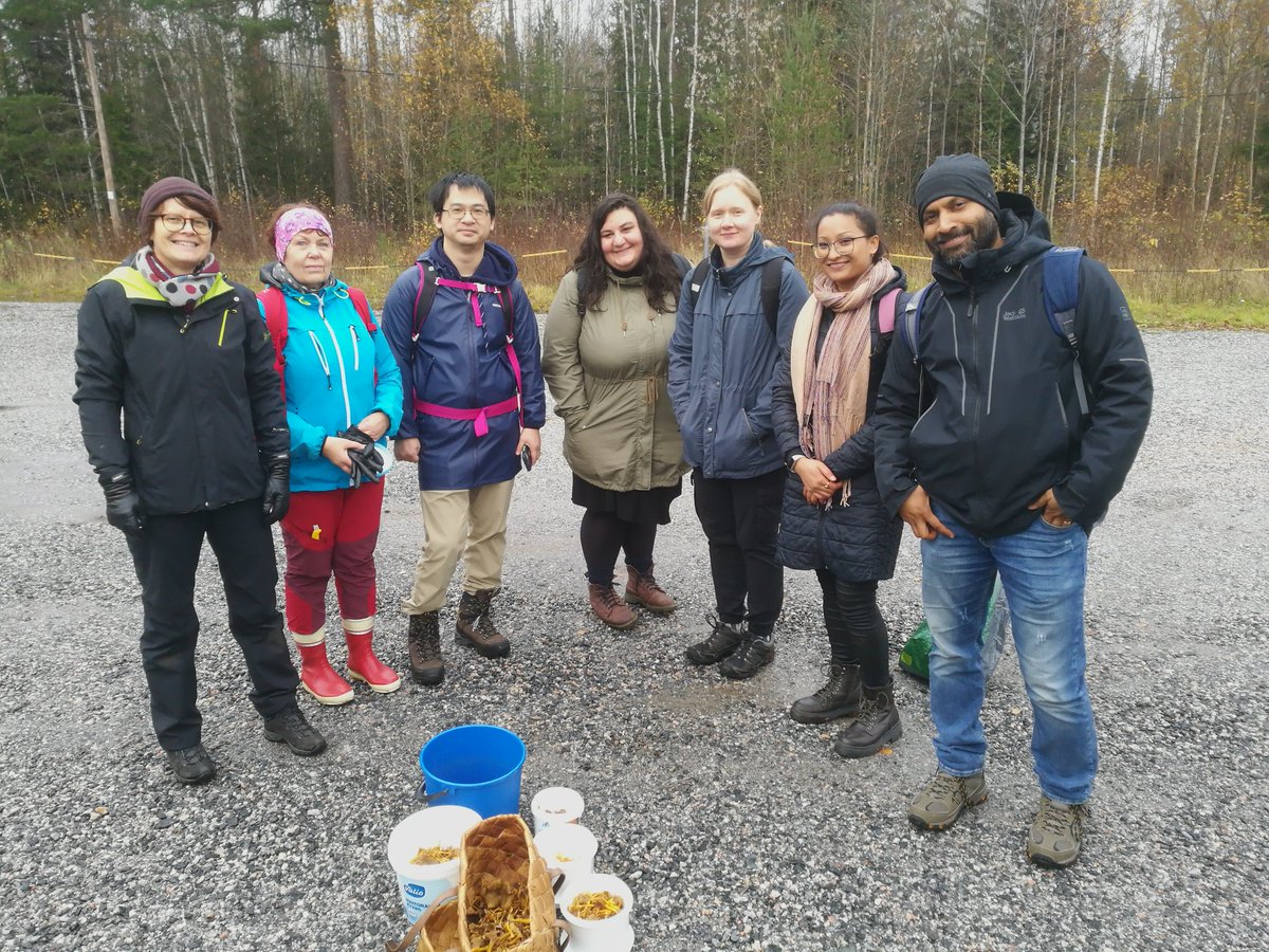 Mikkola Lab tweet media