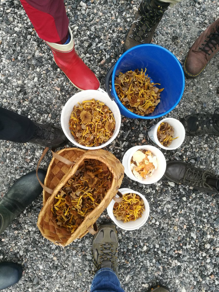 Mikkola Lab tweet media