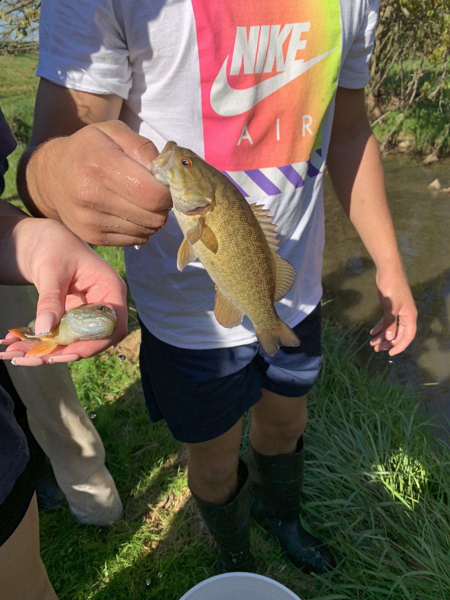 SnavelyWatrbug's tweet photo. Can Freshwater Biology get any better?@StroudCenter @watrbug250 @CVBuckskins @ChesBayMag @chesapeakebay @WetiMu https://t.co/yBC8qyDyii