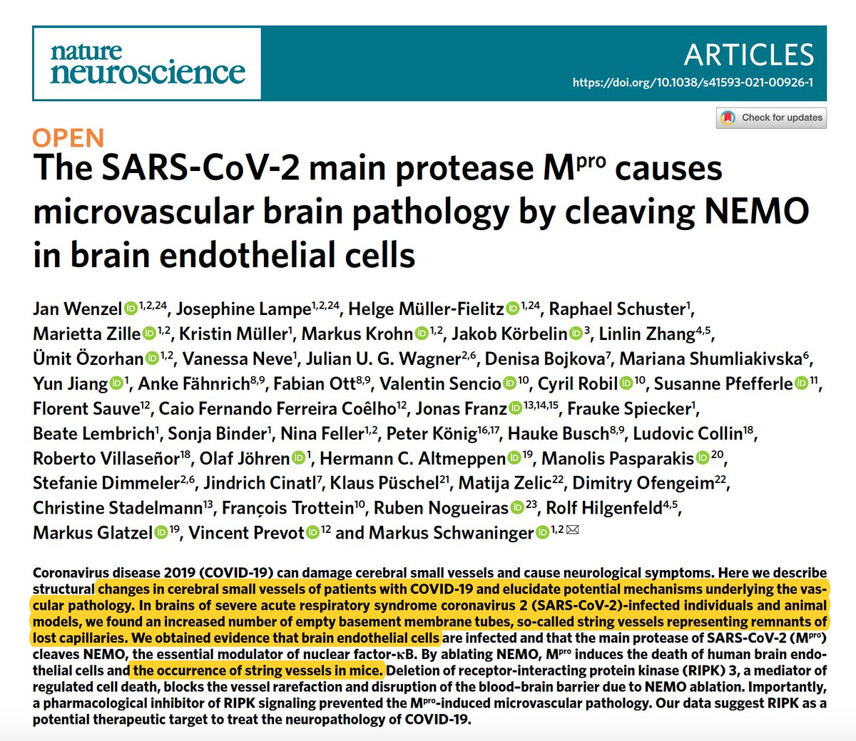Eric Topol (@erictopol) on Twitter photo Severe Covid and the #brain: infection can induce "string vessels" in patients due to death of endothelial cells (lining blood vessels), signifying microvascular damage, verified in experimental models
nature.com/articles/s4159… <a href="/NatureNeuro/">Nature Neuroscience</a> Severe Covid and the #brain: infection can induce "string vessels" in patients due to death of endothelial cells (lining blood vessels), signifying microvascular damage, verified in experimental models
nature.com/articles/s4159… <a href="/NatureNeuro/">Nature Neuroscience</a>