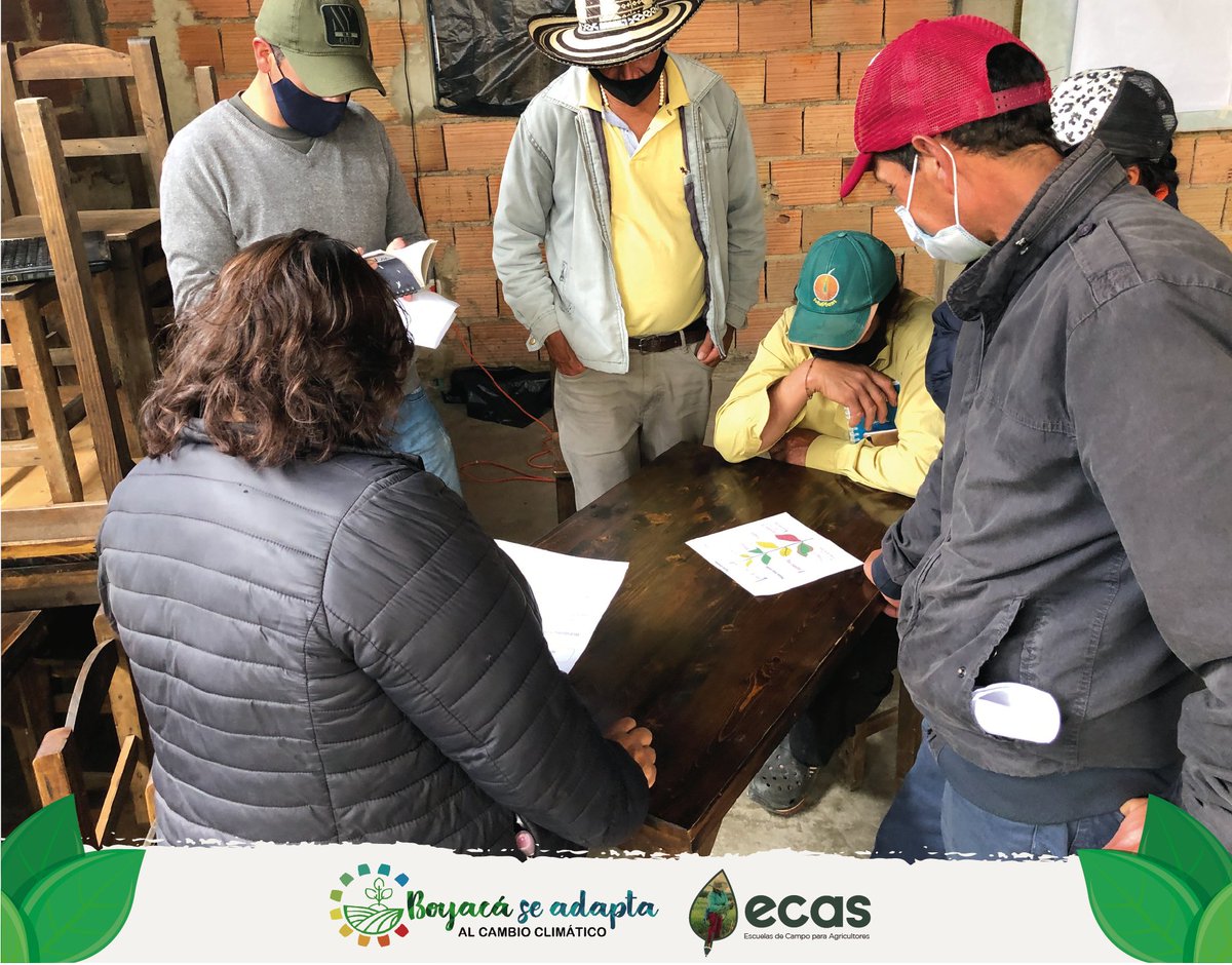 BoyacaSeAdaptaC's tweet photo. En el municipio de #Toca compartimos saberes con nuestros productores a cerca de Nutrición vegetal con el fin de tomar mejores decisiones en la fertilización, logrando una mejor calidad en sus cultivos, rentabilidad y rendimiento. https://t.co/fDRF1laHft